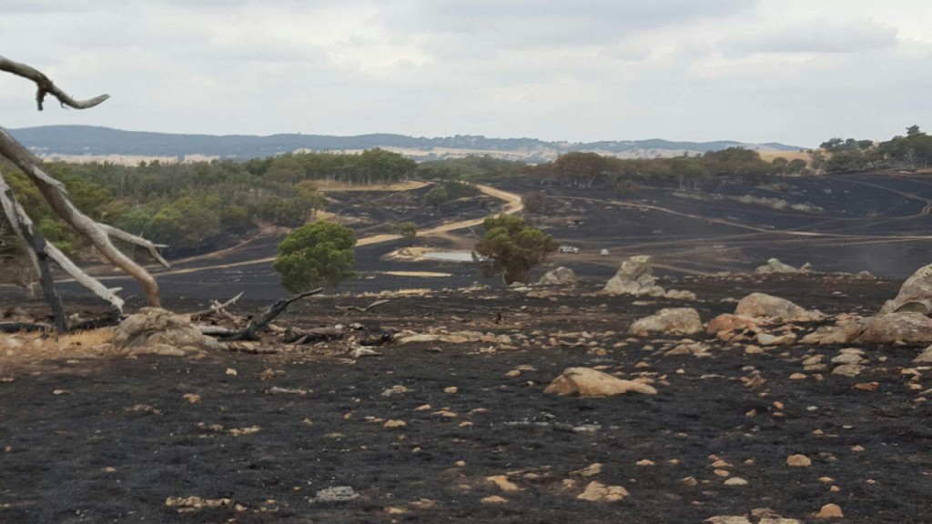 A grass fire burnt 200 hectares on Wargelia Road on December 21, 2015.